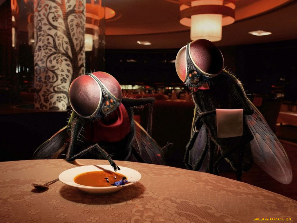 , 